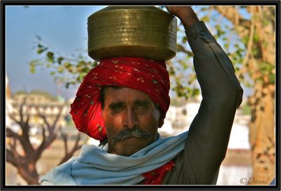 Bringing Home the Holy Water. Pushkar.