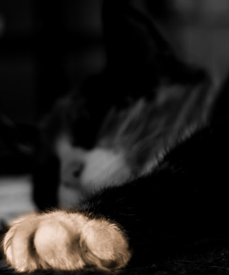 IMG_3596.jpg