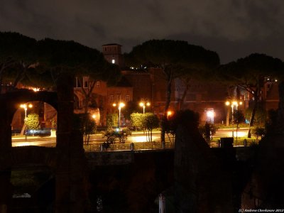 PC-P1040977.jpg
