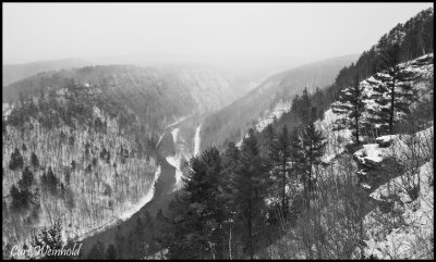 Canyon in B&W from Leonard Harrison St Pk