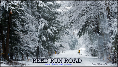 Reed Run Road