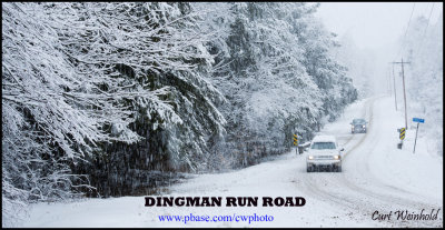 Dingman Run road