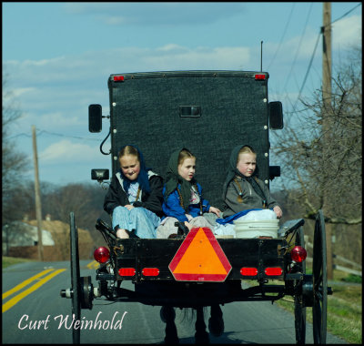 Mennonite girls ride back of buggy in Lancaster Co, Pa.