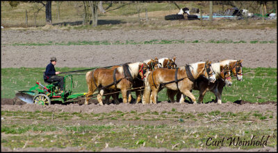 Six horse team plowing, Lancaster Co, Pa.