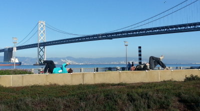 San Francisco February 2013