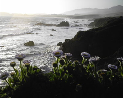 San Simeon, California, USA - May  2006