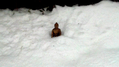 Buddha chilling out after the blizzard