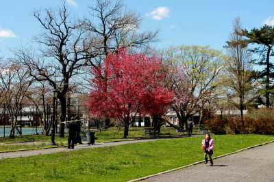 Spring 2013 in Queens 018.jpg