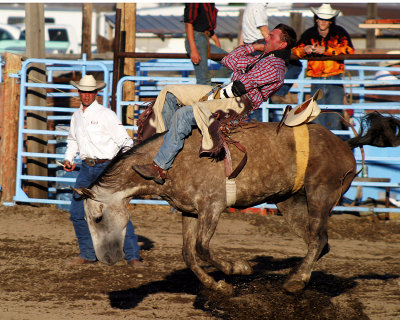 Tobacco Valley Rodeo 2006