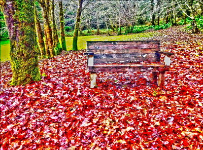 IMG_0527-HDR_resize.jpg