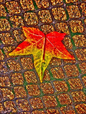 IMG_0508-HDR_resize.jpg
