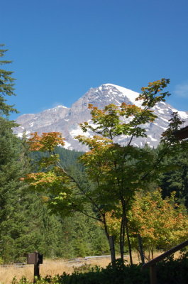 DSC_0014_resize.JPG