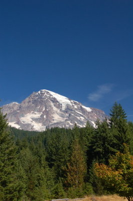 DSC_0021_resize.JPG