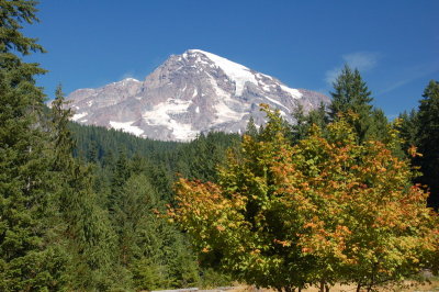 DSC_0027_resize.JPG