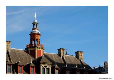 Les toits de la Vieille Bourse