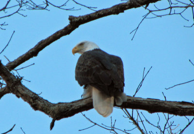 December 2012 Current 003.jpg