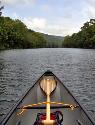 Looking Upstream on the St. .jpg