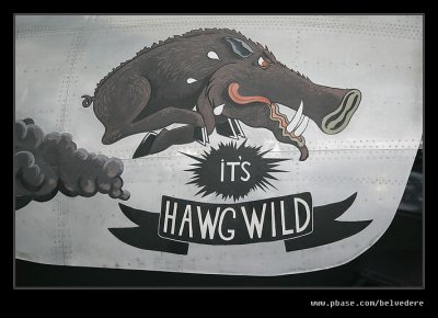 It's Hawg Wild, IWM Duxford