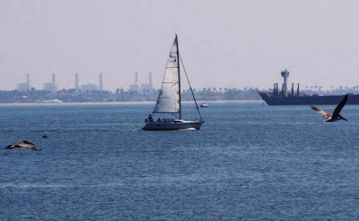 Long Beach Shoreline