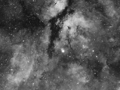  IC 1318, Gamma Cyg Nebula  