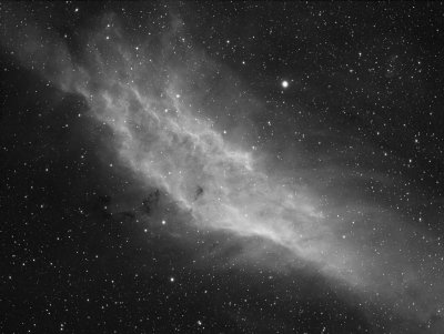 NGC 1499, The California Nebula in Ha 