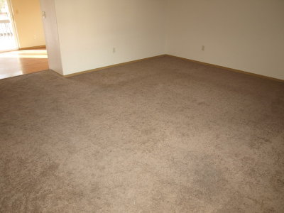 living room carpet