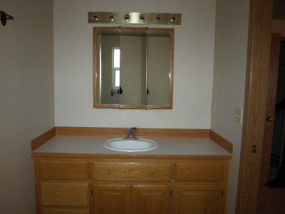 masterbathroom vanity
