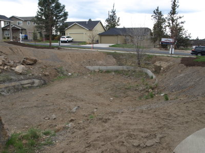 P4120546.JPG