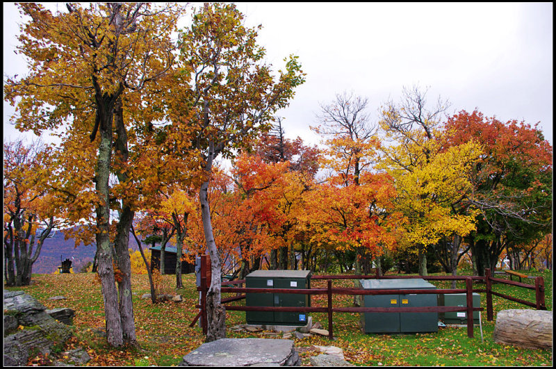 IMGP1269_1.jpg