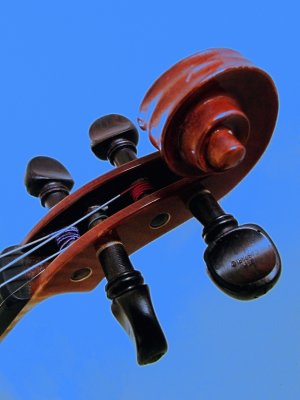 Scroll and Pegs