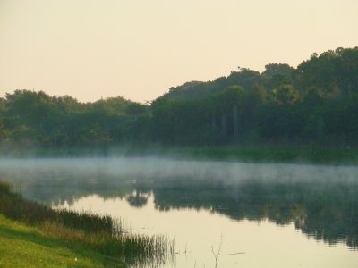 Morning Lake 