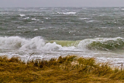 White Gate Beach