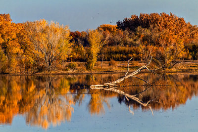 _MG_50405.jpg