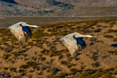 _MG_51697.jpg