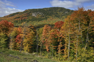 zwNNEW_DSC4972_TOP3.5_Region_de_Stoneham_Reserve-Faunique_Qc_Can.jpg