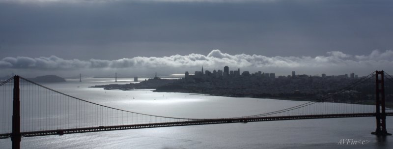 San Francisco. Early morning bathing in Silver