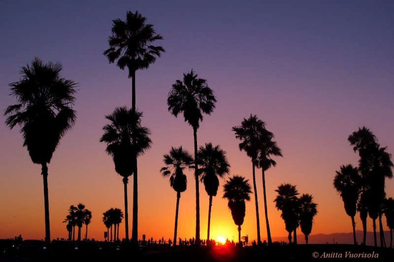 California. Venice Beach