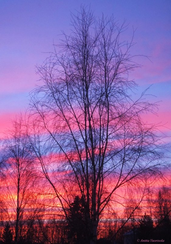 The Colors through my window