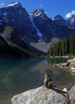 Golden mantle squirrel enjoys the view at lake Moraine 
