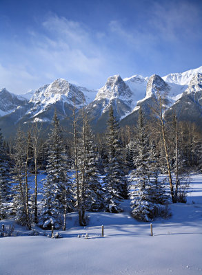 Winter in the rockies 