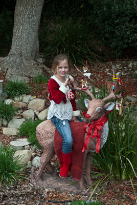 20121216-_DSC8781-1.jpg
