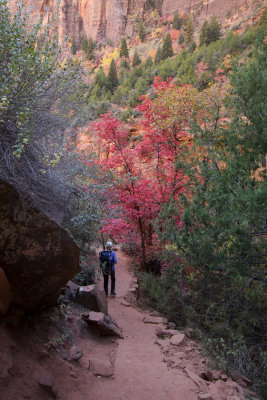 Rose-colored hiking trail