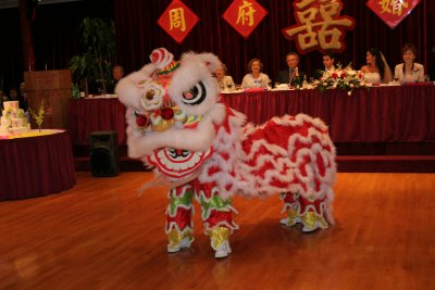 Lion Dance by ADLER PHOTOGRAPHY & VIDEO PRODUCTIONS