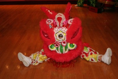 Lion Dance byADLER PHOTOGRAPHY & VIDEO PRODUCTIONS