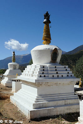 White Pagodas DSC_8731