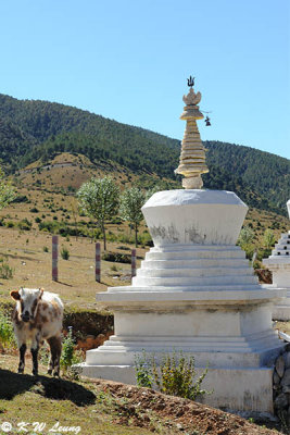 White Pagoda and Yak DSC_8736