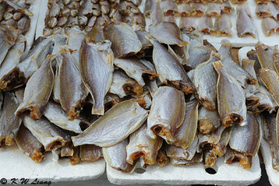 Salted fishes DSC_0655