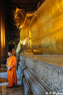 Reclining Buddha DSC_3554