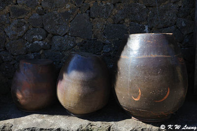 Seongeup Folk Village DSC_7788