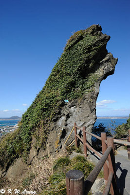 Rock @ Seongsan Sunrise Peak DSC_7834